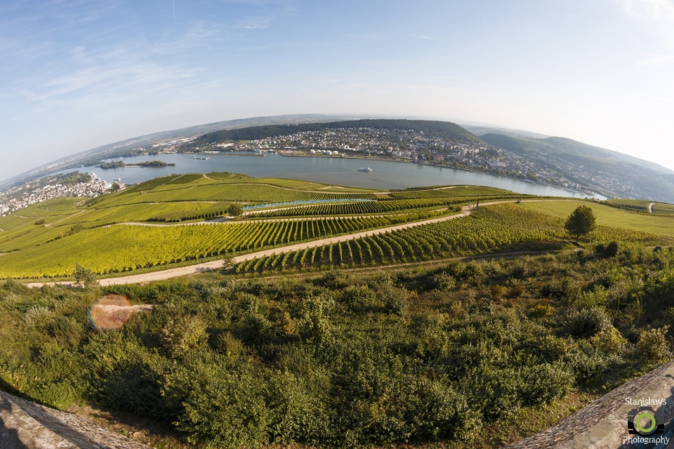 Rüdesheim