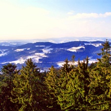 Aussicht vom Waldwipfelpfad in Maibrunn auf den Bayerischen Wald