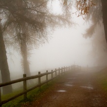 ...Licht im Nebel...