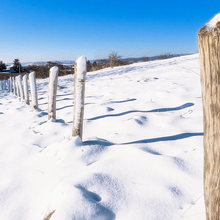 der Schneetag in 2014