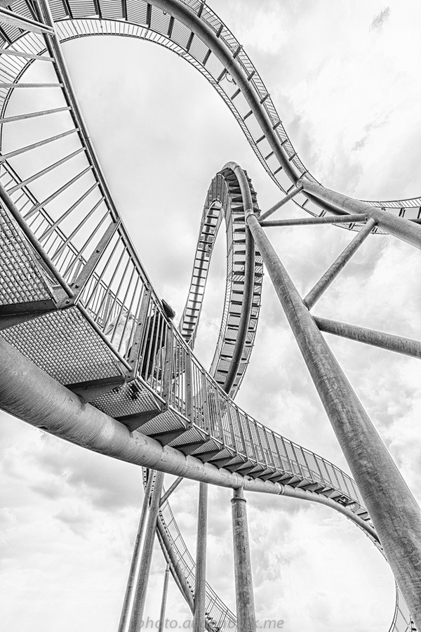 Tiger&Turtle