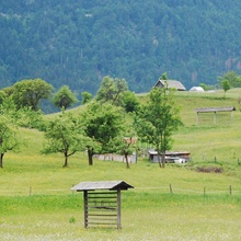 Obstanger, Slowenien