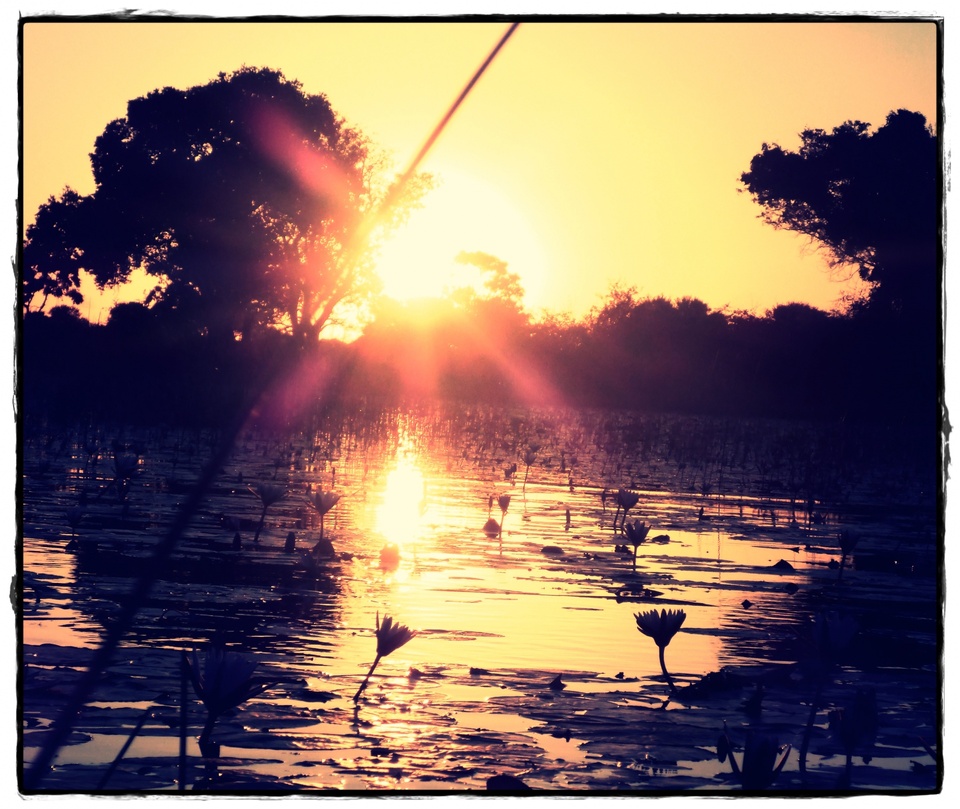 okavango delta - botswana