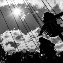 Flight To The Sun
