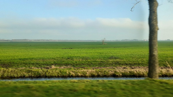 Poldergebiet Flevoland NL