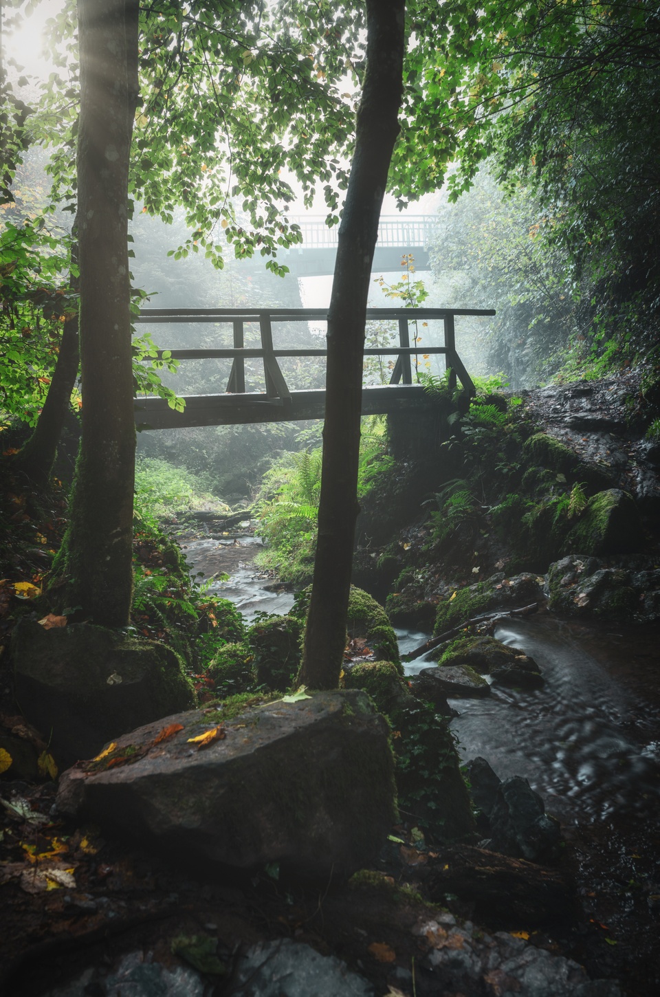 Brücke