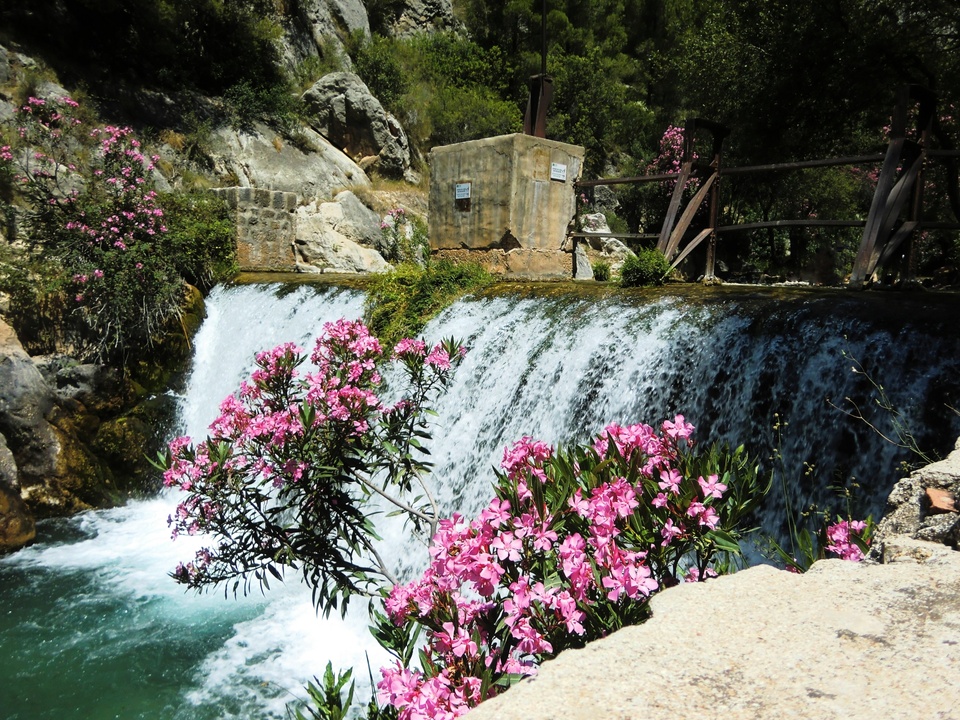 El Algar