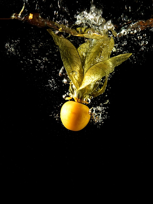Physalis peruviana