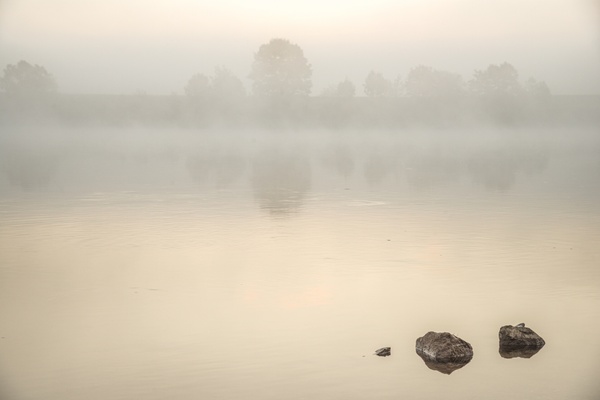 Donau im Morgennebel
