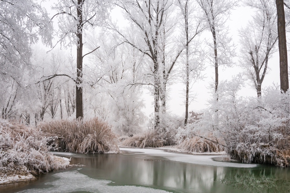 zauberhafte Winterwelt