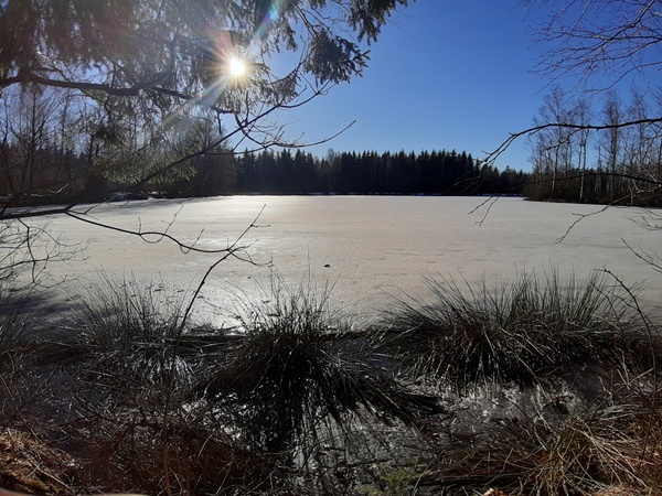 gefrorener Teich bei schönstem Sonnenschein