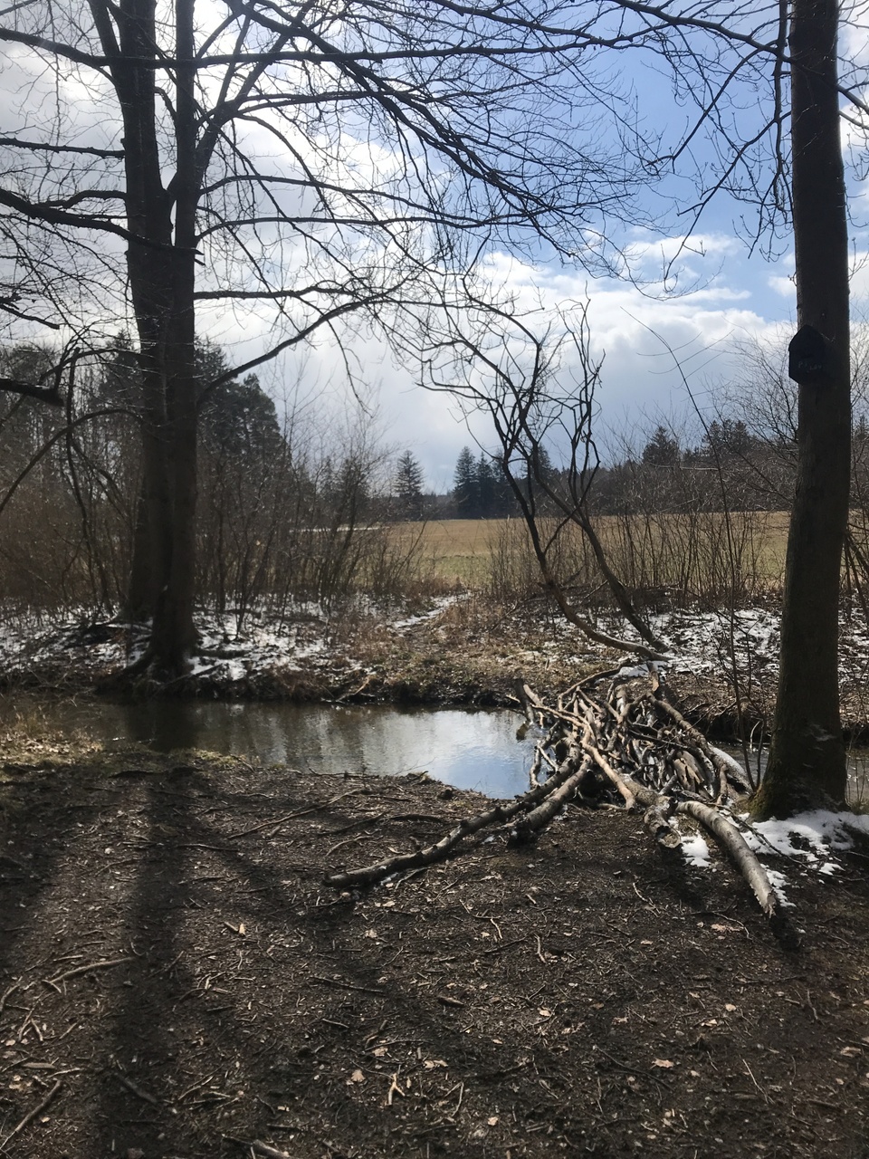 Ausblick auf die Mittagssonne