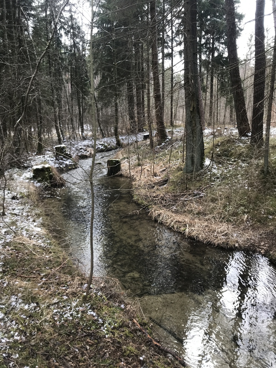 Letzter Schnee am Bach