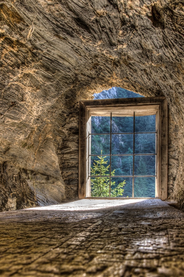Das Fenster zum Wald