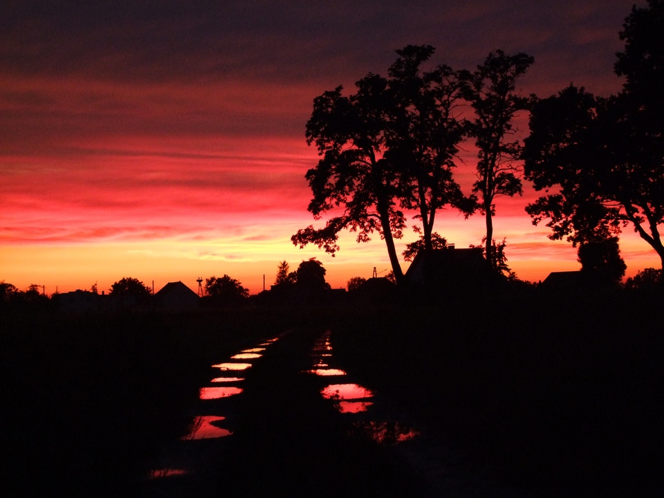 Pfützen im Abendrot