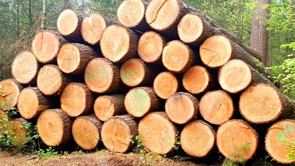 Holzstapel