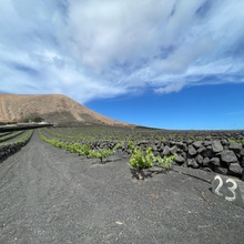 Weinanbaugebiete auf Lanzarote