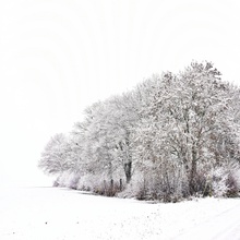 Winterlandschaft.Schnee und Nebel ohne Ende.