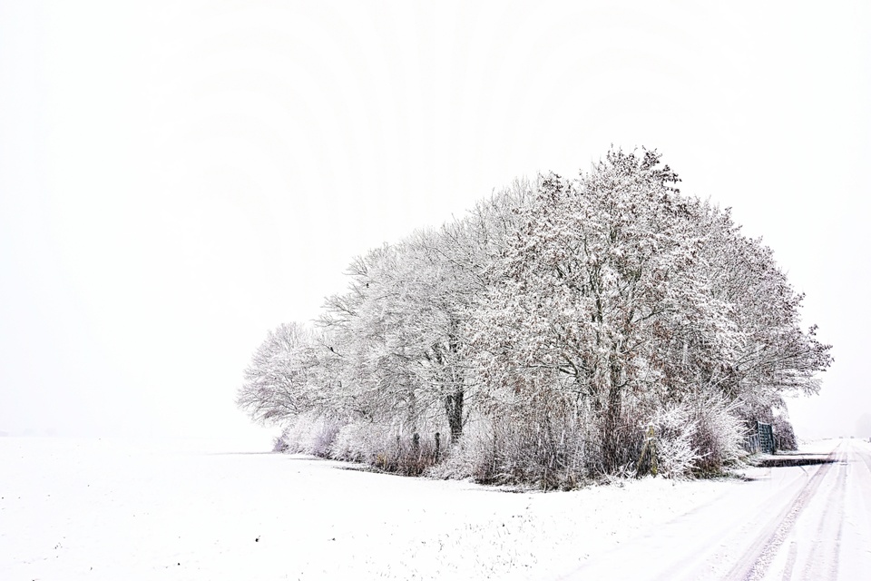 Winterlandschaft.Schnee und Nebel ohne Ende.