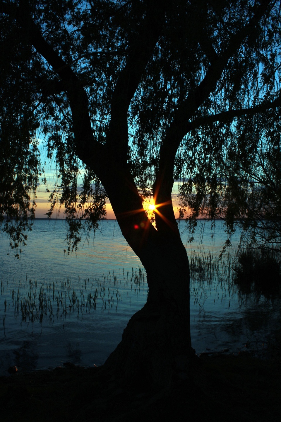 Sonnenuntergang am Steinhudermeer