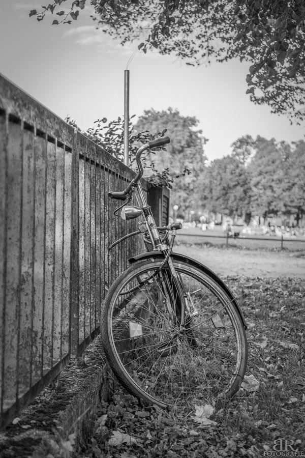 The lonely bike