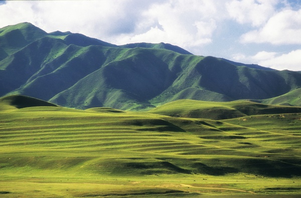 Labrang China... sanfte, grüne Hügel