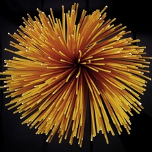 Spaghetti floreale